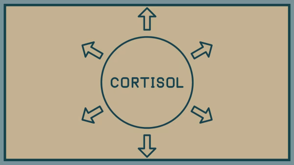 Cortisol het stresshormoon
