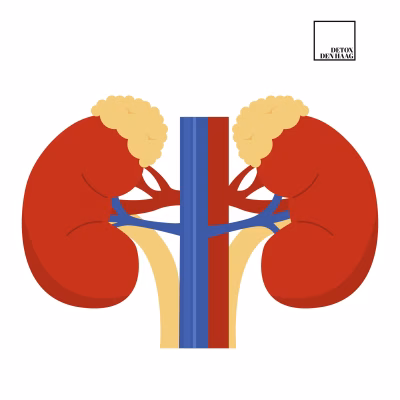 Cortisol het stresshormoon