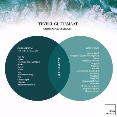 Glutamaat: Essentieel voor de Hersenen, maar een Risico bij Overmaat