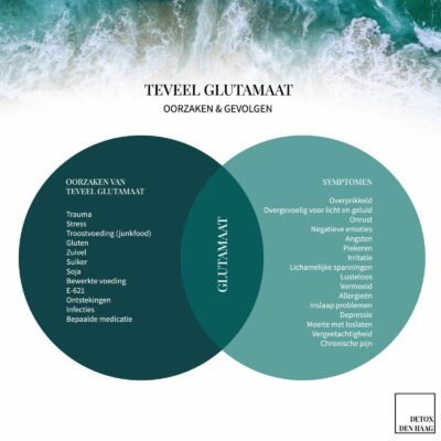 Glutamaat: Essentieel voor de Hersenen, maar een Risico bij Overmaat