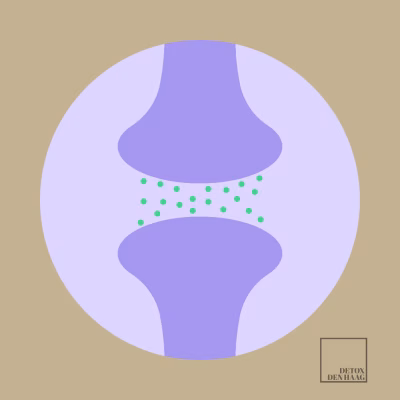 Wat is acetylcholine?