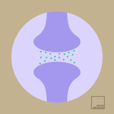 Wat is acetylcholine?