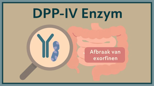 DPP-IV enzym: de schakelaar tussen darmen, brein en gedrag