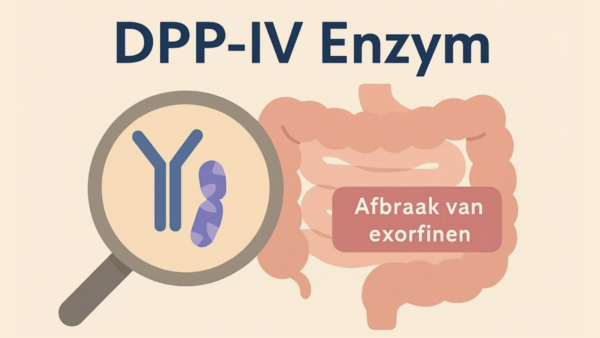 DPP-IV enzym: de schakelaar tussen darmen, brein en gedrag
